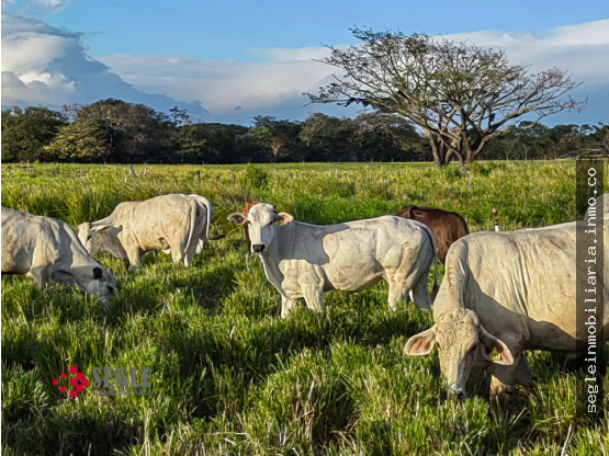 Apartamento en Cañas