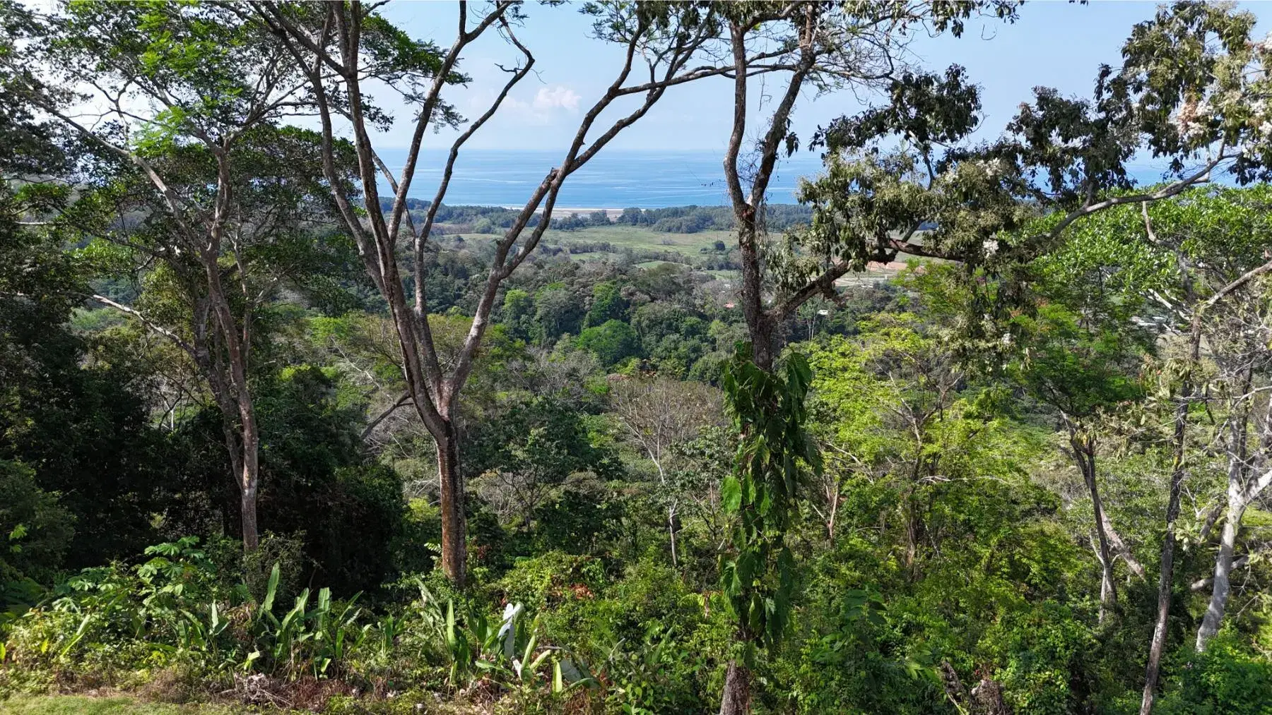 Land at Quepos