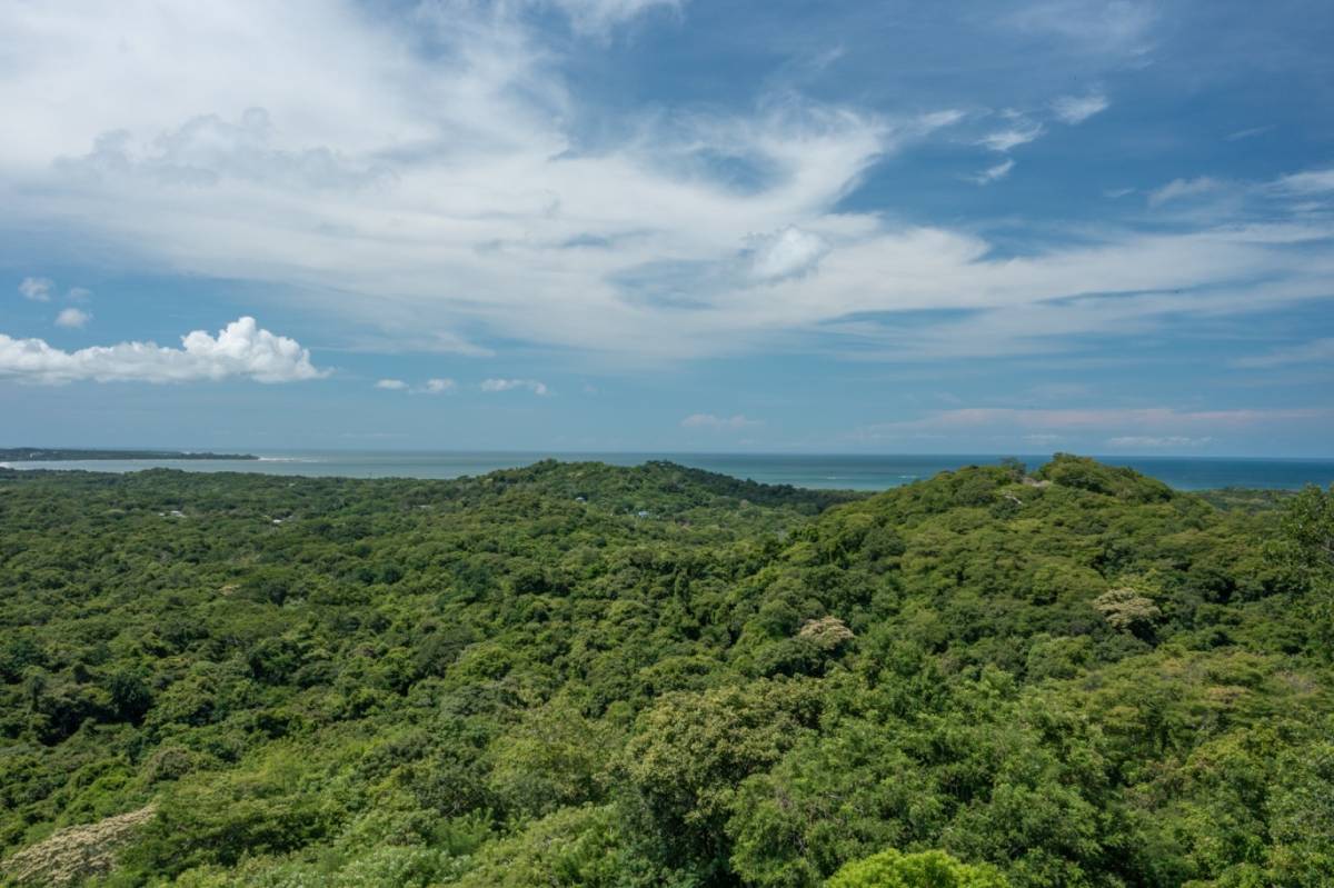 Property at Playa Grande