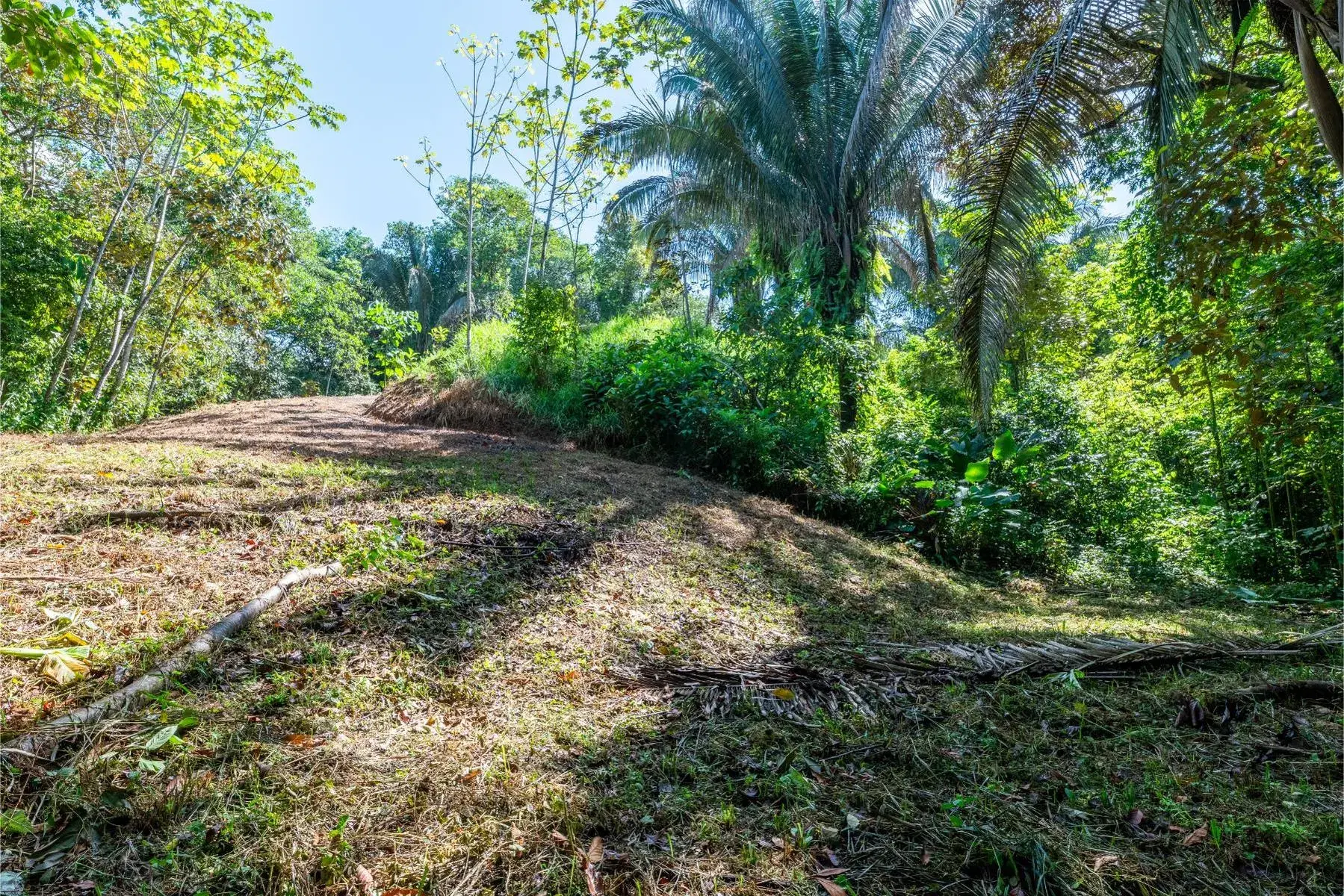 Terreno en Bahía Ballena