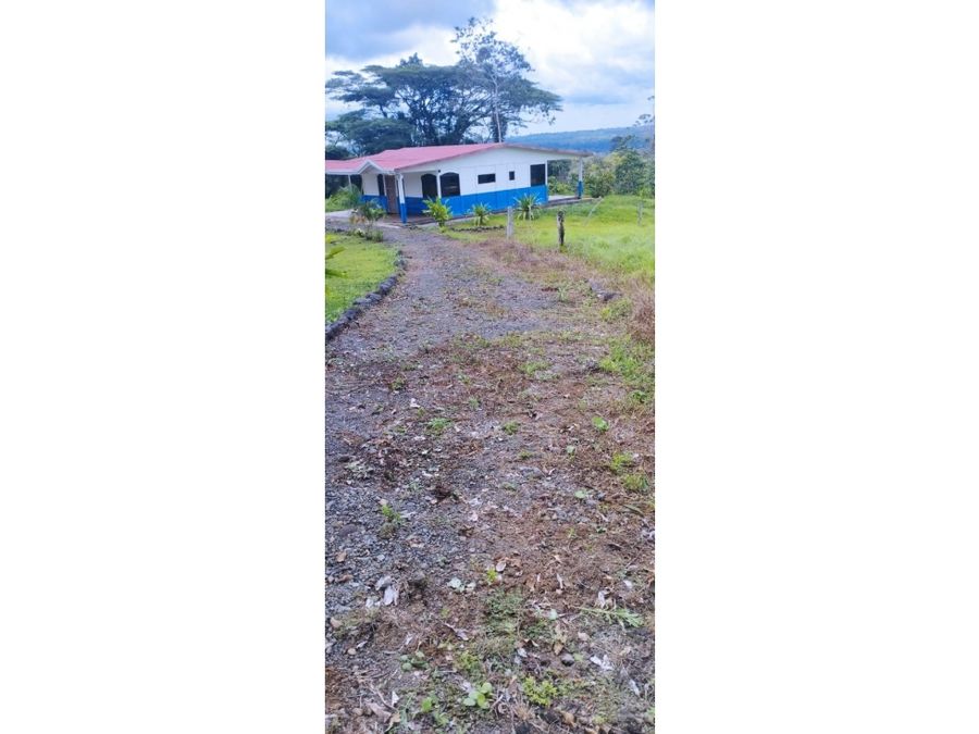 Finca en Upala