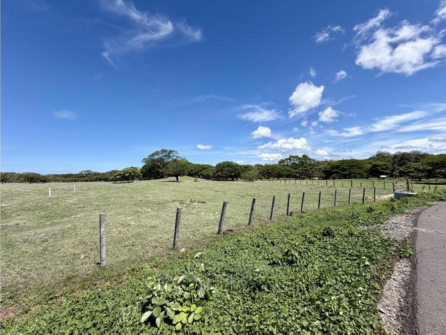 Finca en Cañas