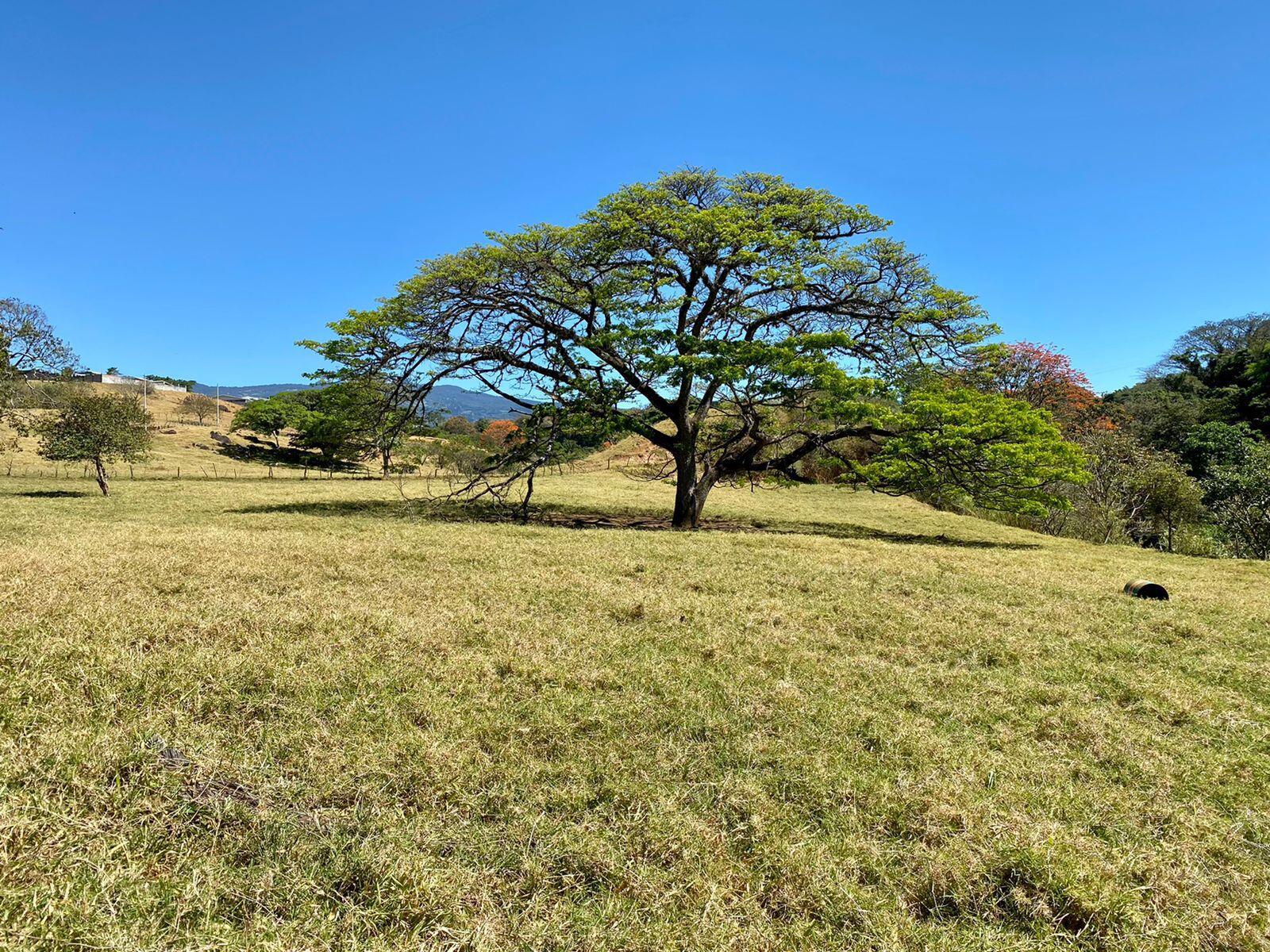 Property at Santa Bárbara