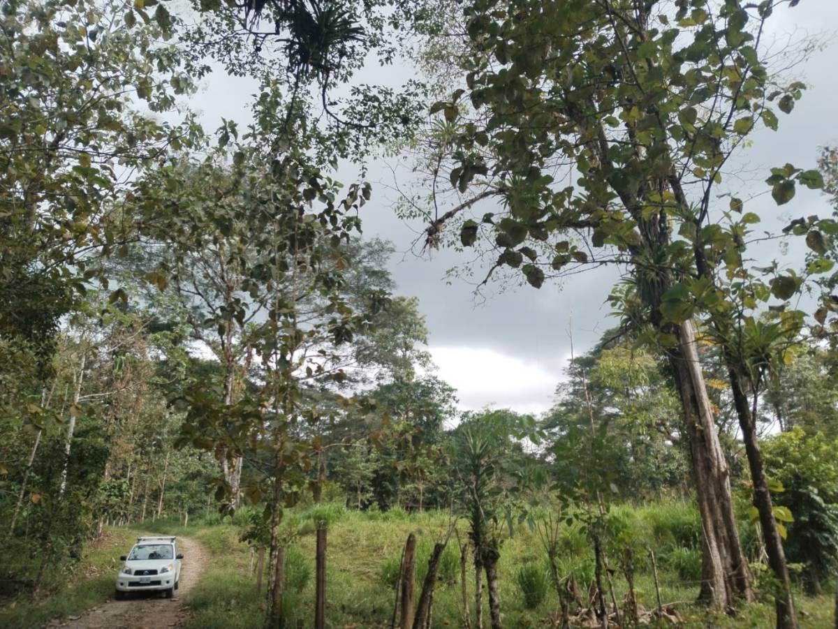 Estate at Parrita