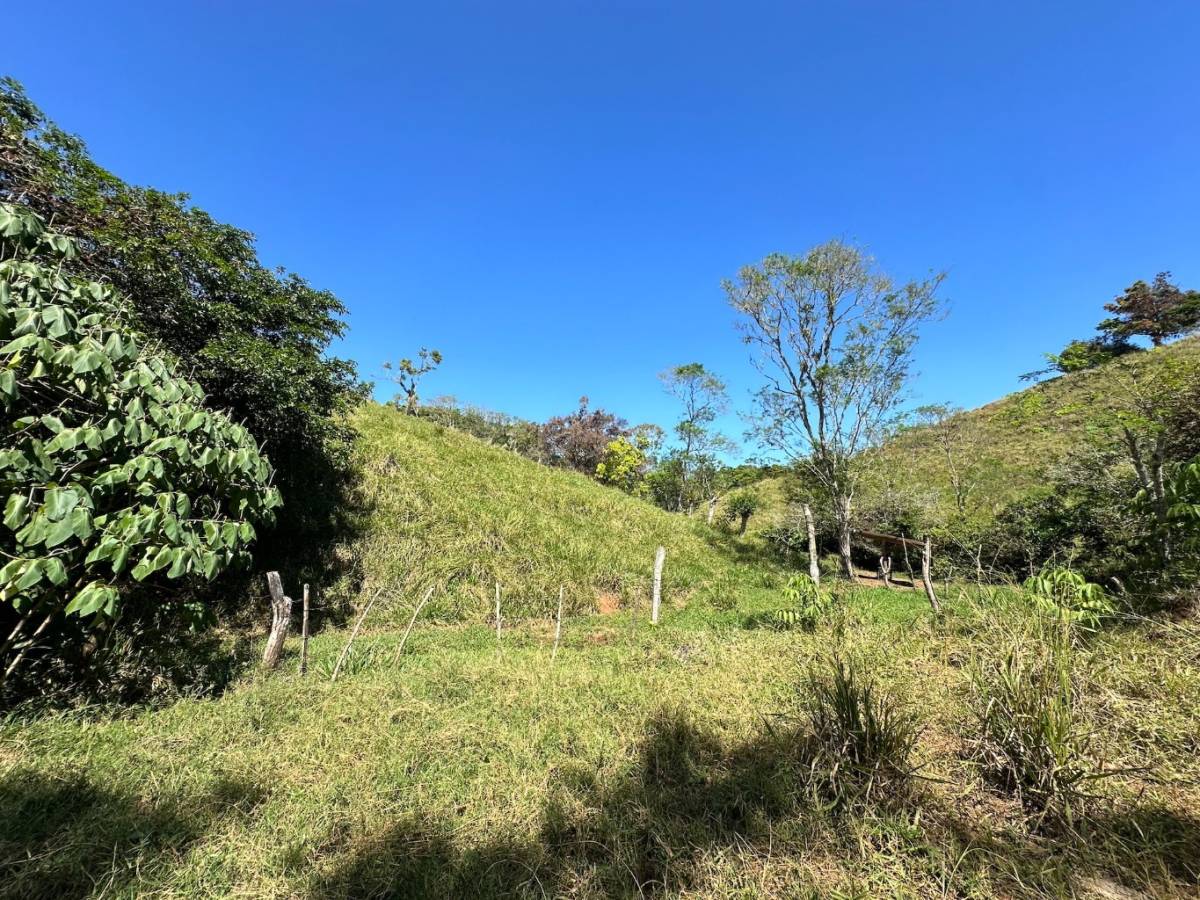 Finca en San Isidro del General