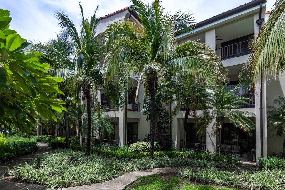 Propiedad en PACIFICO