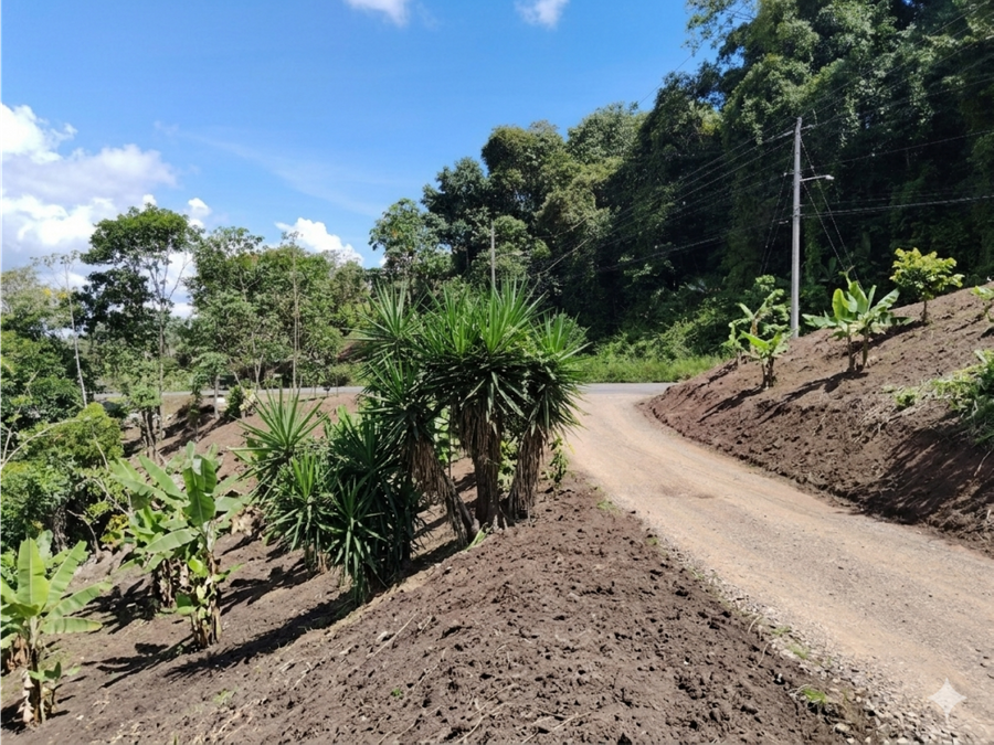 Terreno en San Isidro de El General