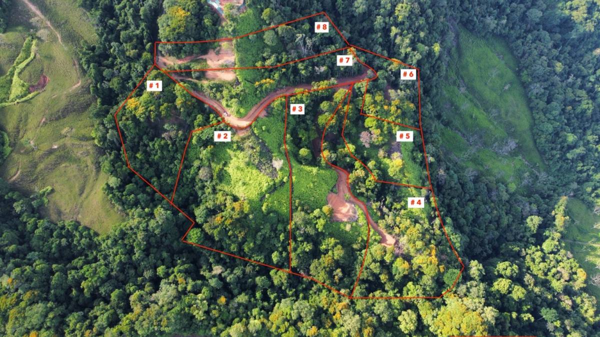 Property at Uvita