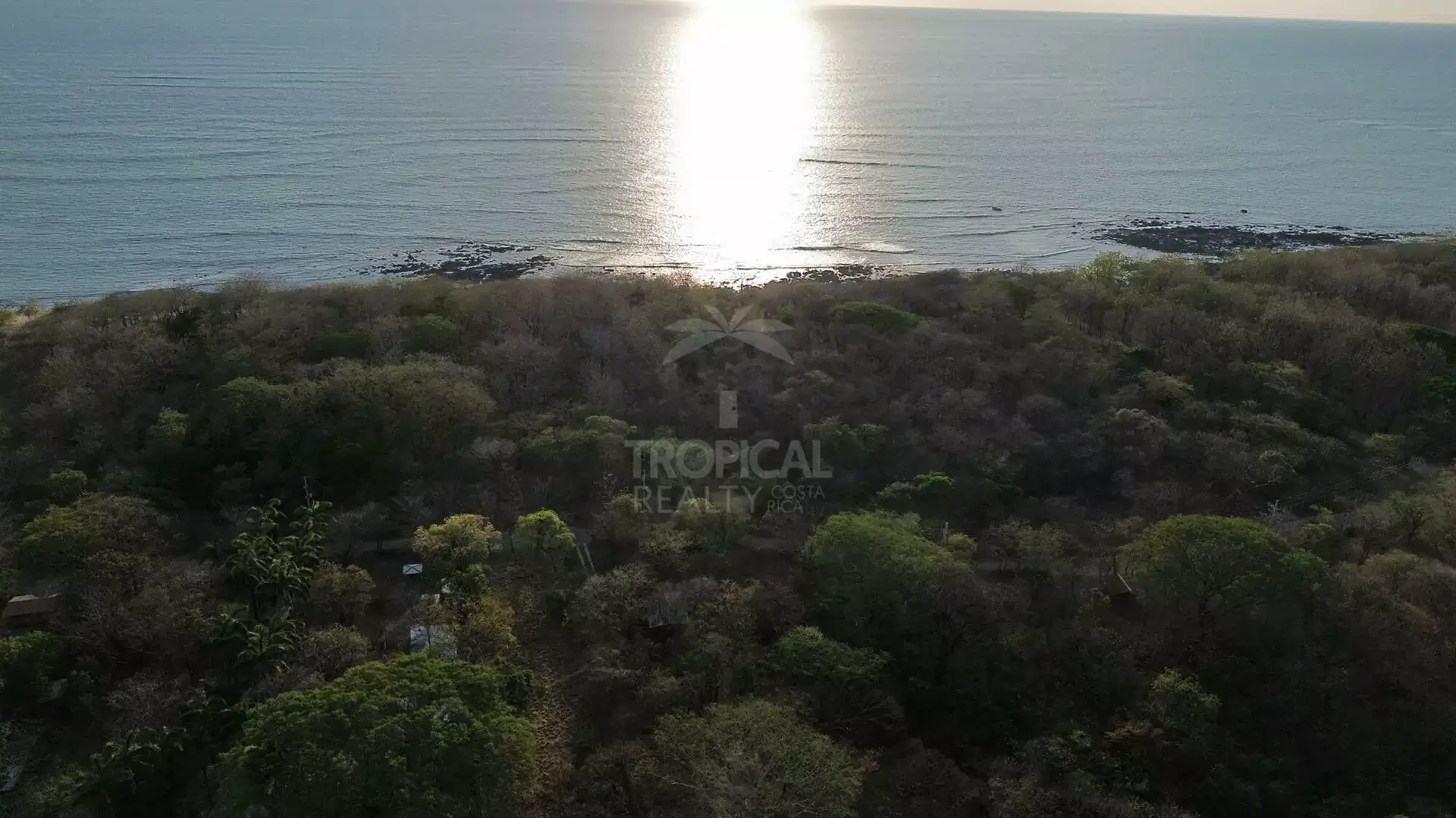 Property at Tamarindo