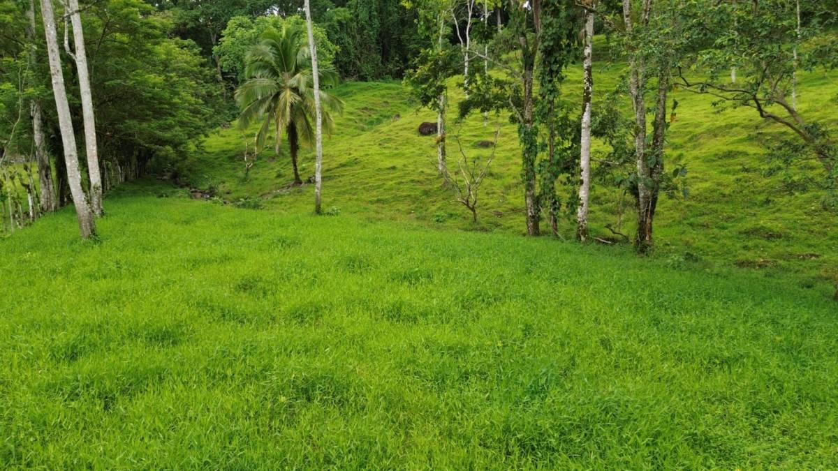 Finca en Santa Teresita