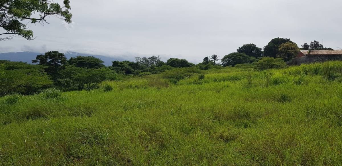 Property at San Rafael