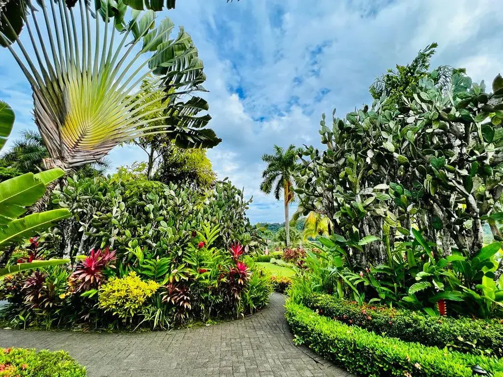 Property at Los Sueños Resort & Marina