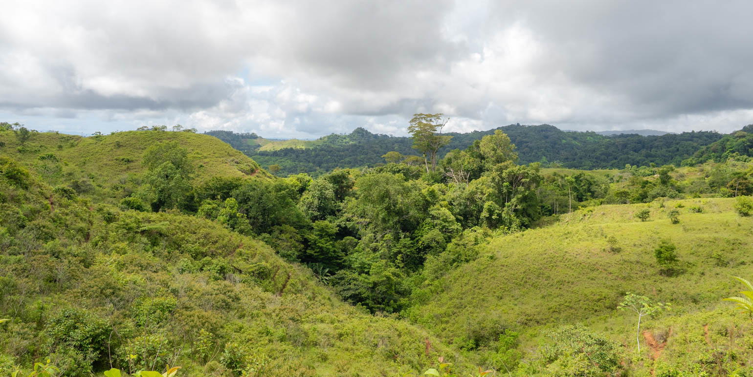 Property at Sierpe