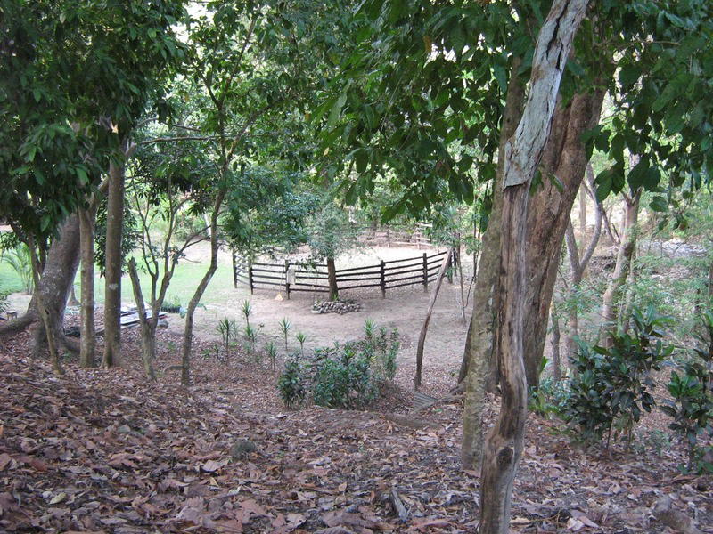 Terreno en Paquera