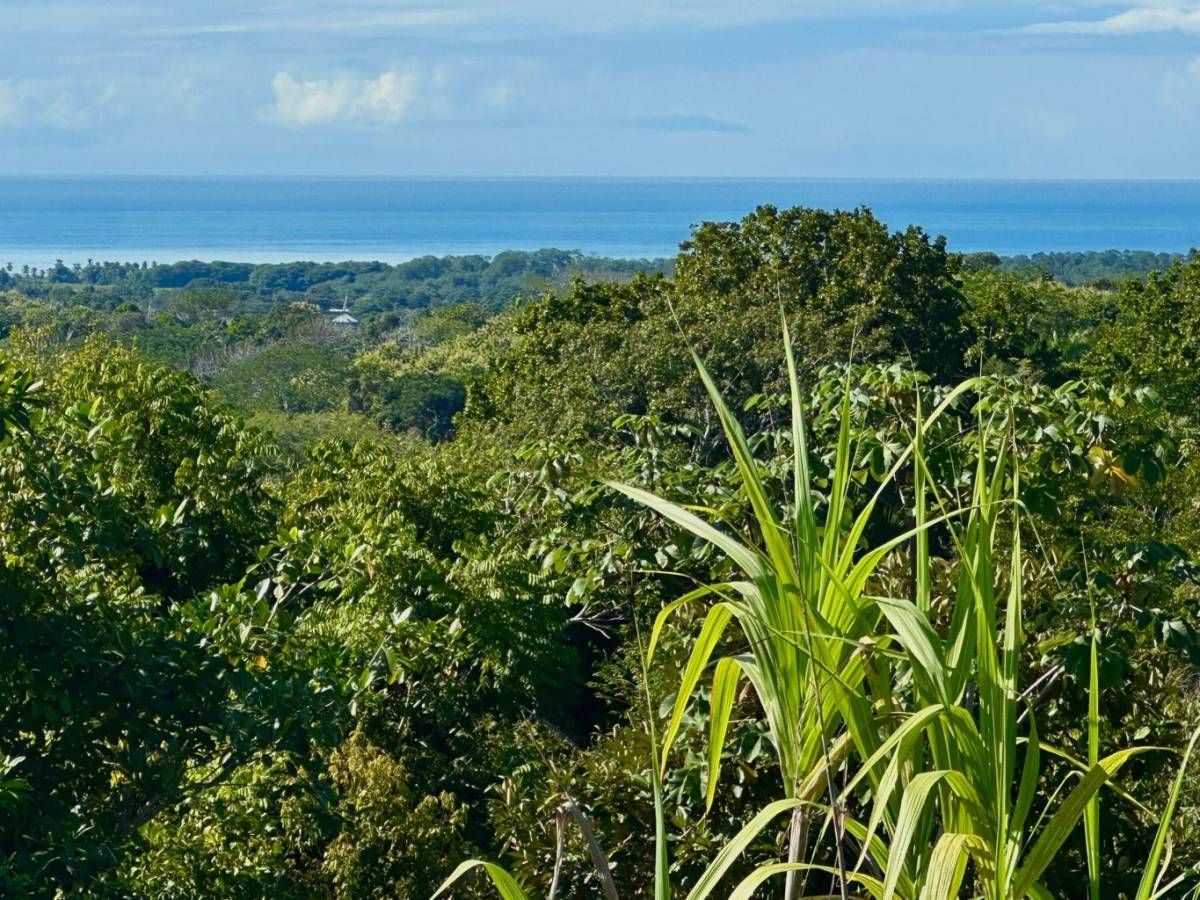 Propiedad en Parrita