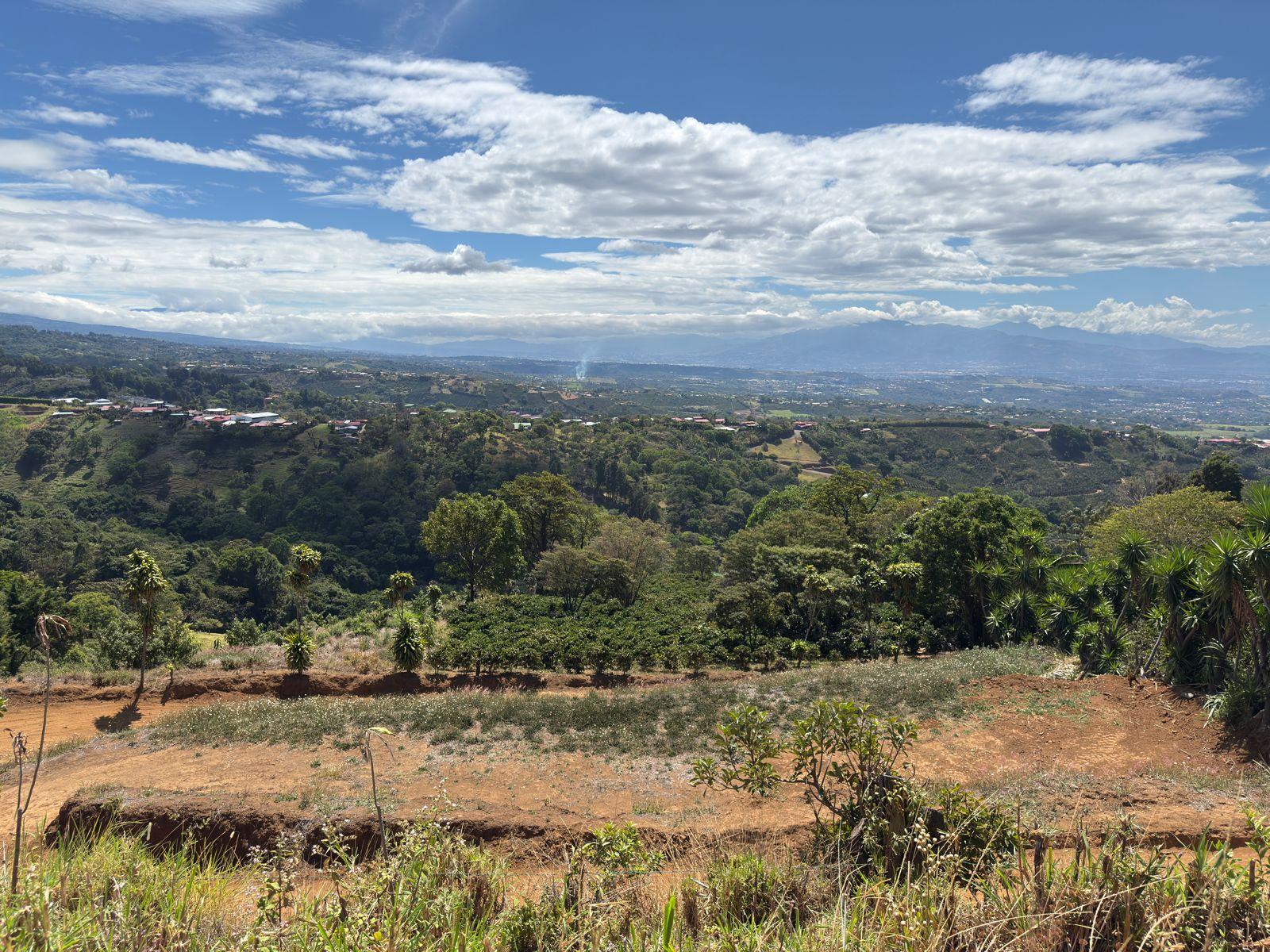 Estate at Bolívar