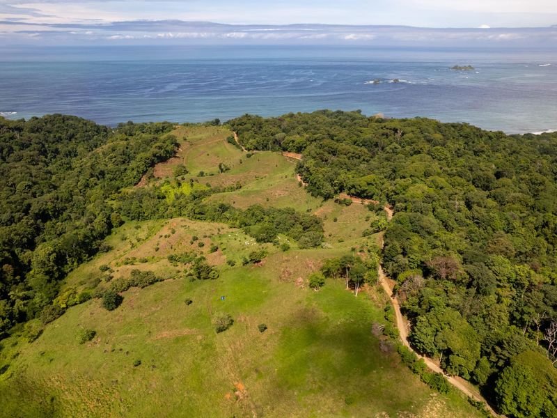 Land at Bahía Ballena