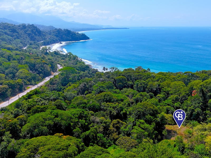 Terreno en Bahía Ballena