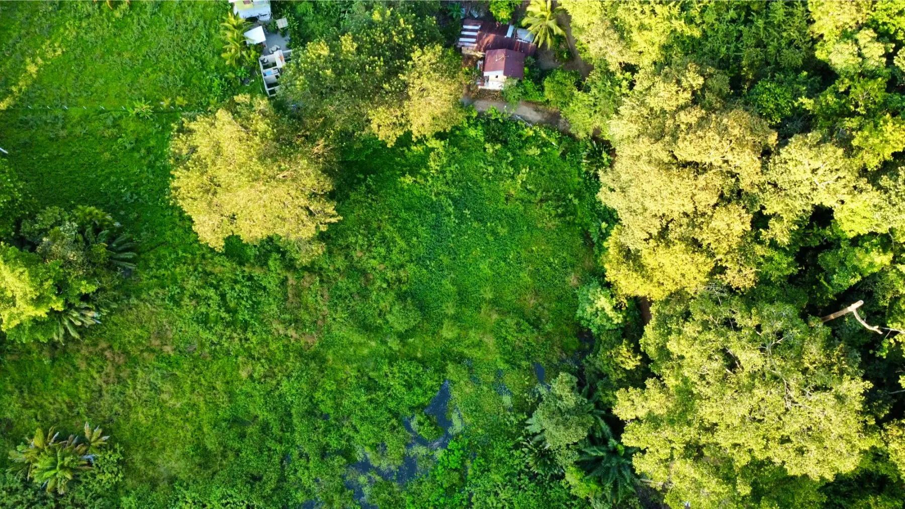 Terreno en Bahía Ballena
