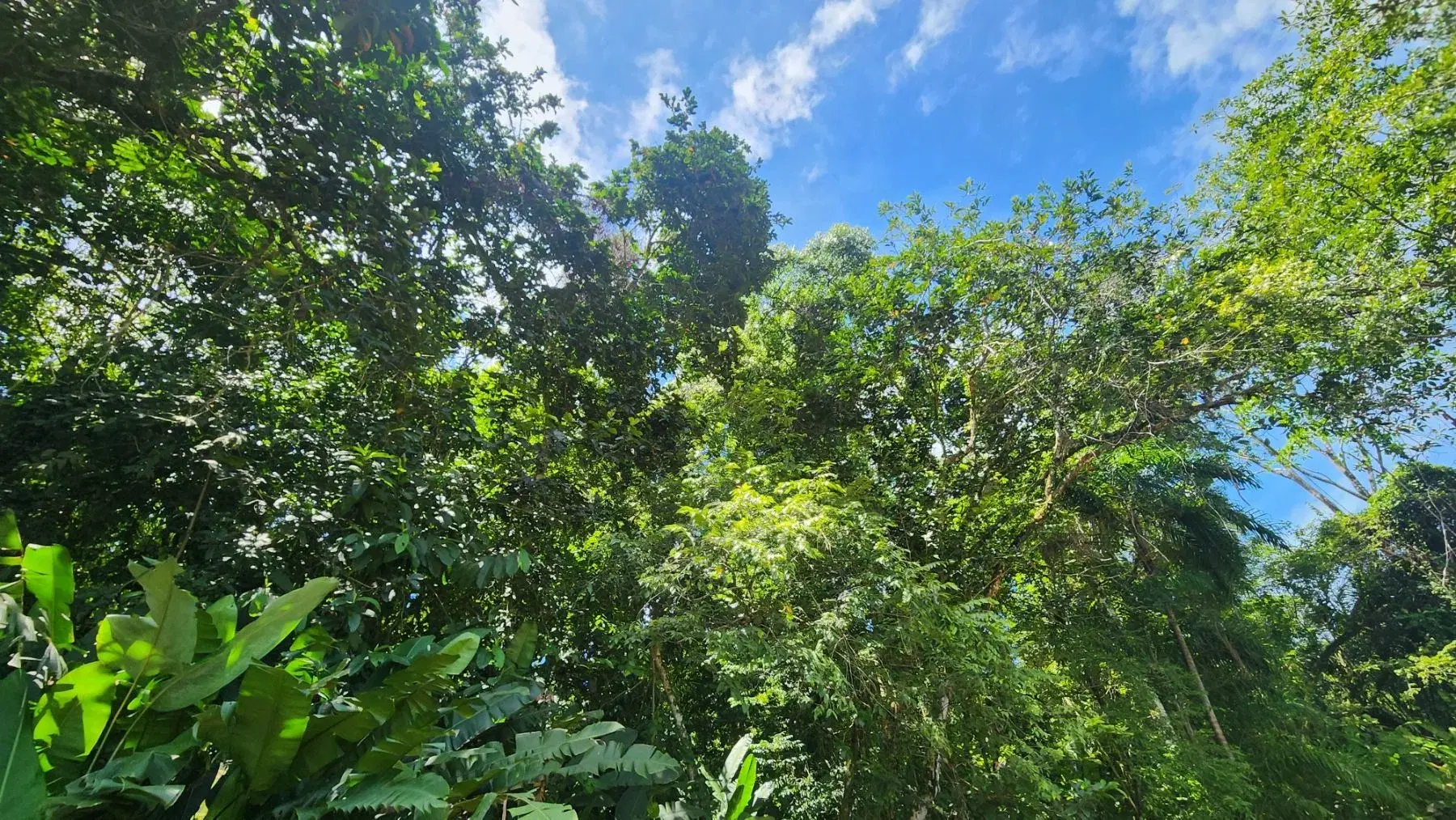 Land at Dulce Pacifico