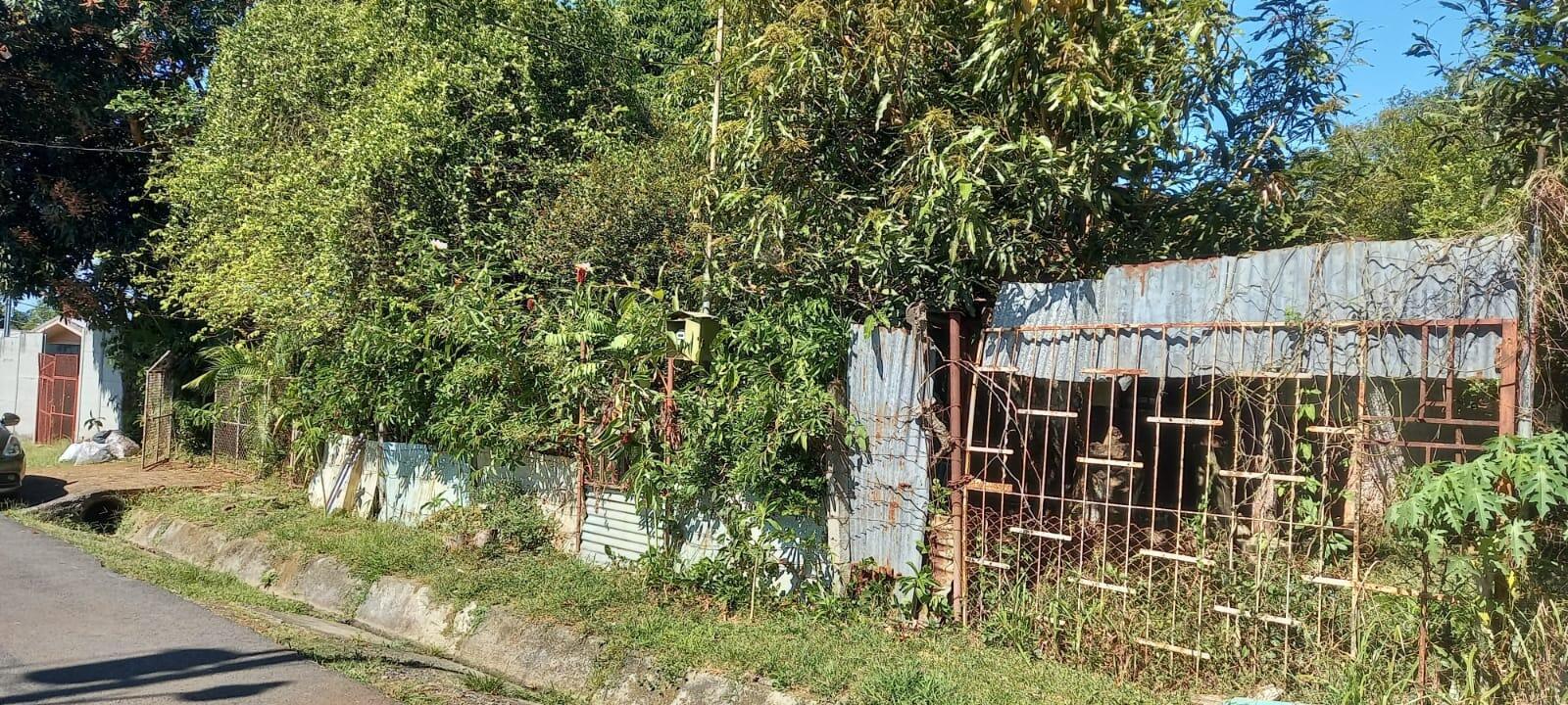 Property at Orotina