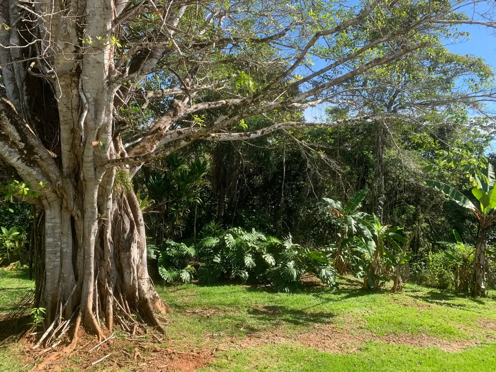 Casa en Cóbano