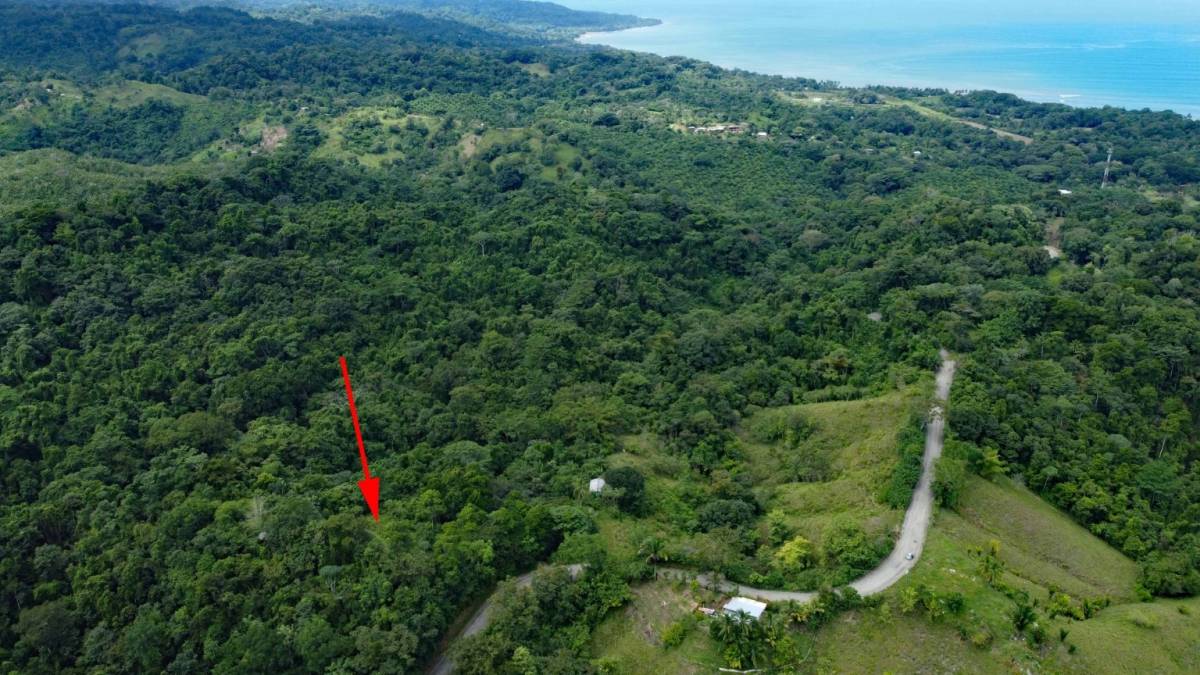 Property at Pavones
