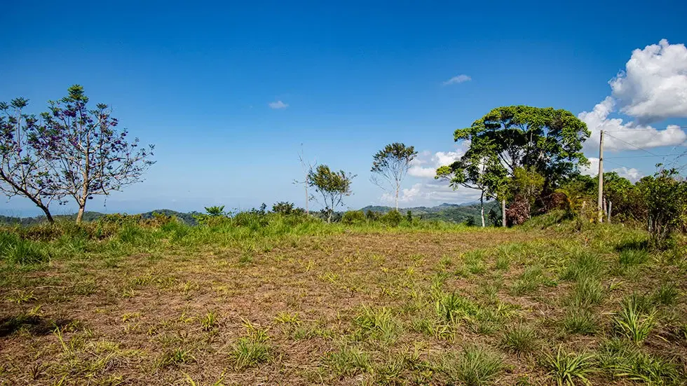Terreno en Bahía Ballena