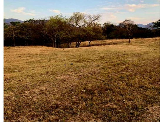 Propiedad en Santa Cruz