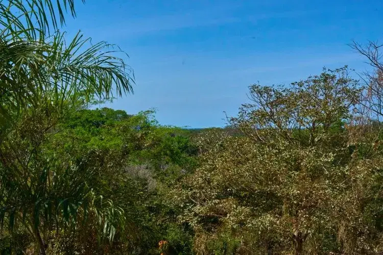 Land at Jacó