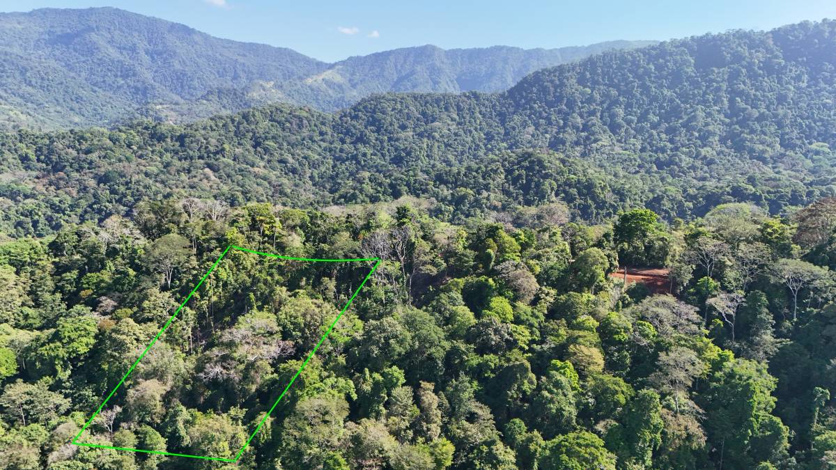Propiedad en Uvita
