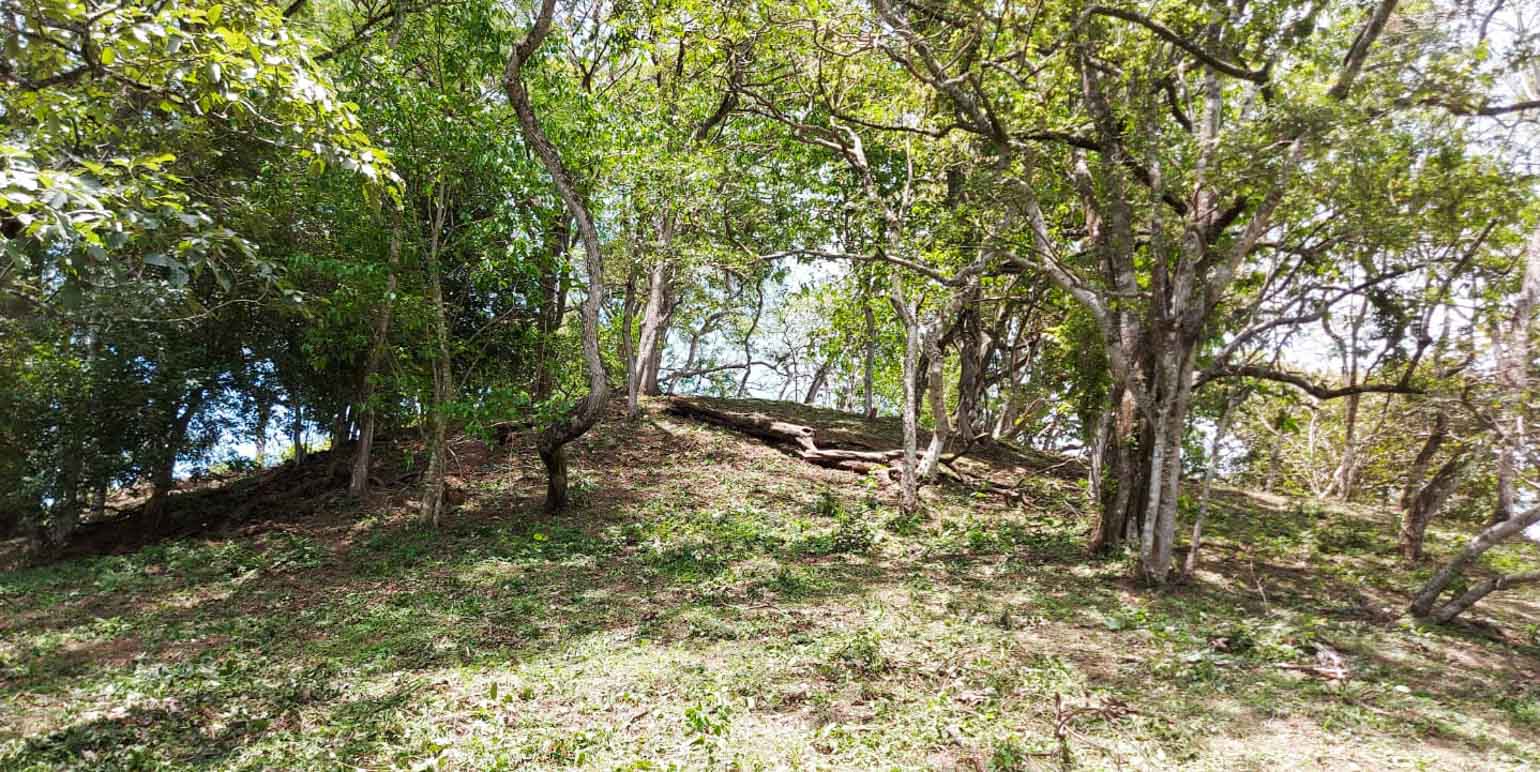 Propiedad en Guayabo