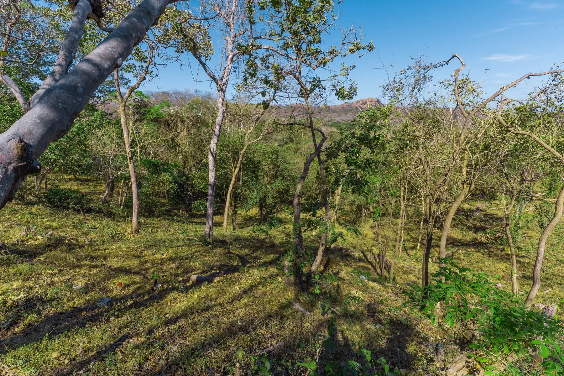 Terreno en Cabo Velas
