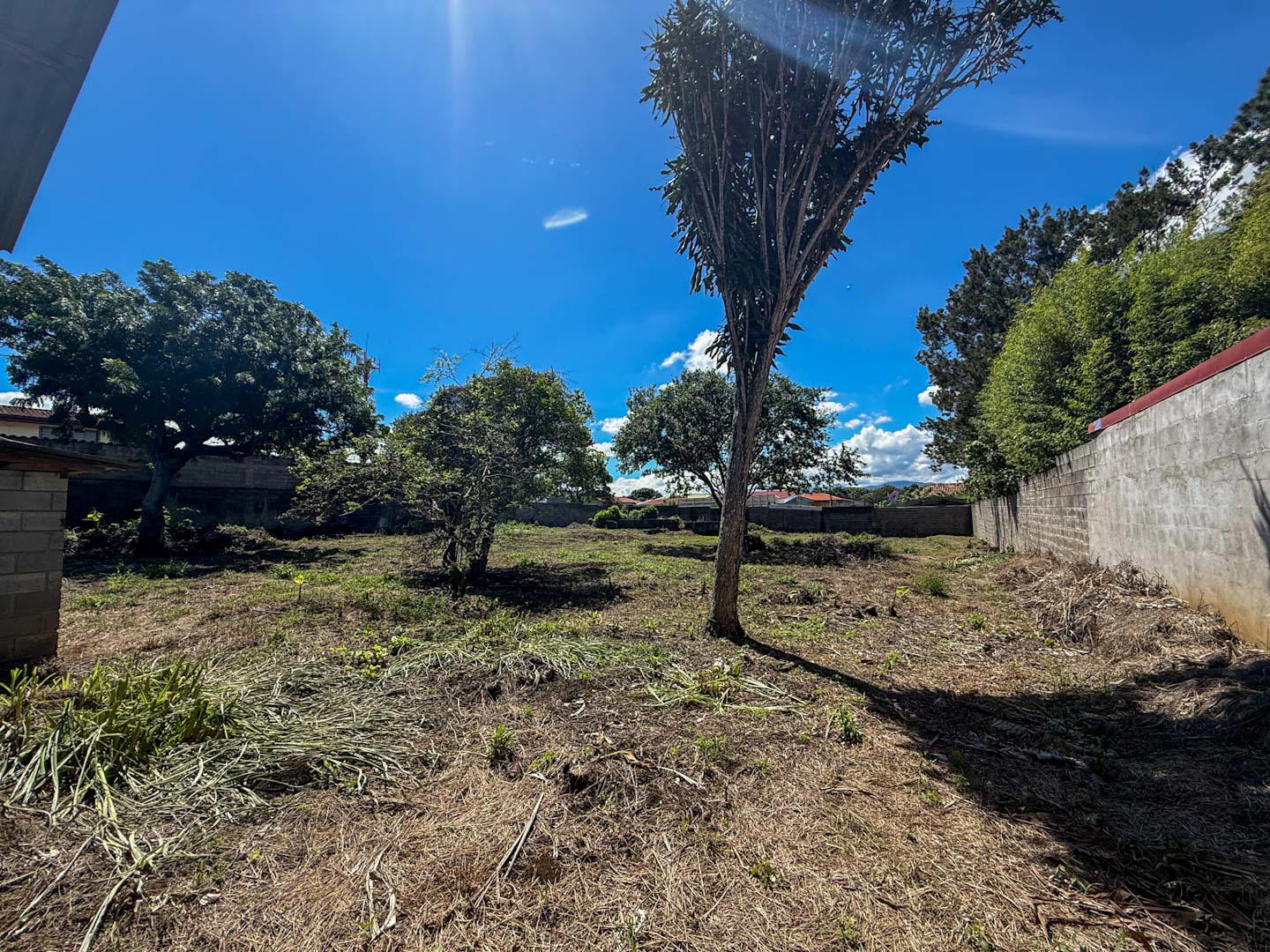 Terreno en Santo Tomás