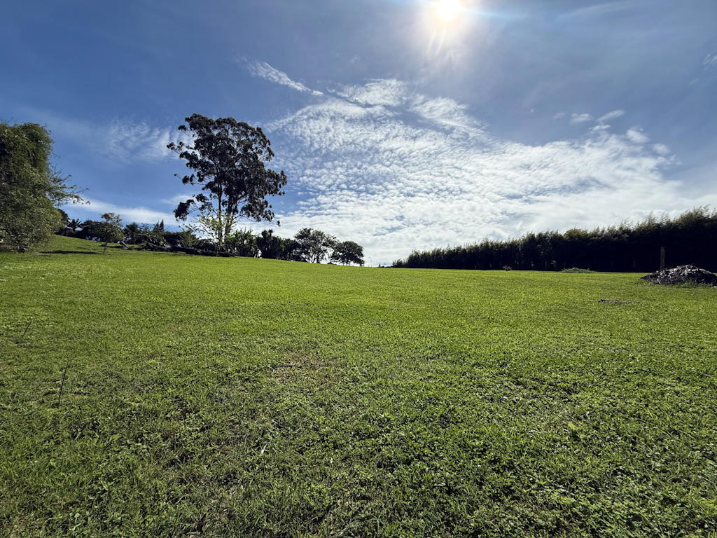 Land at San Isidro
