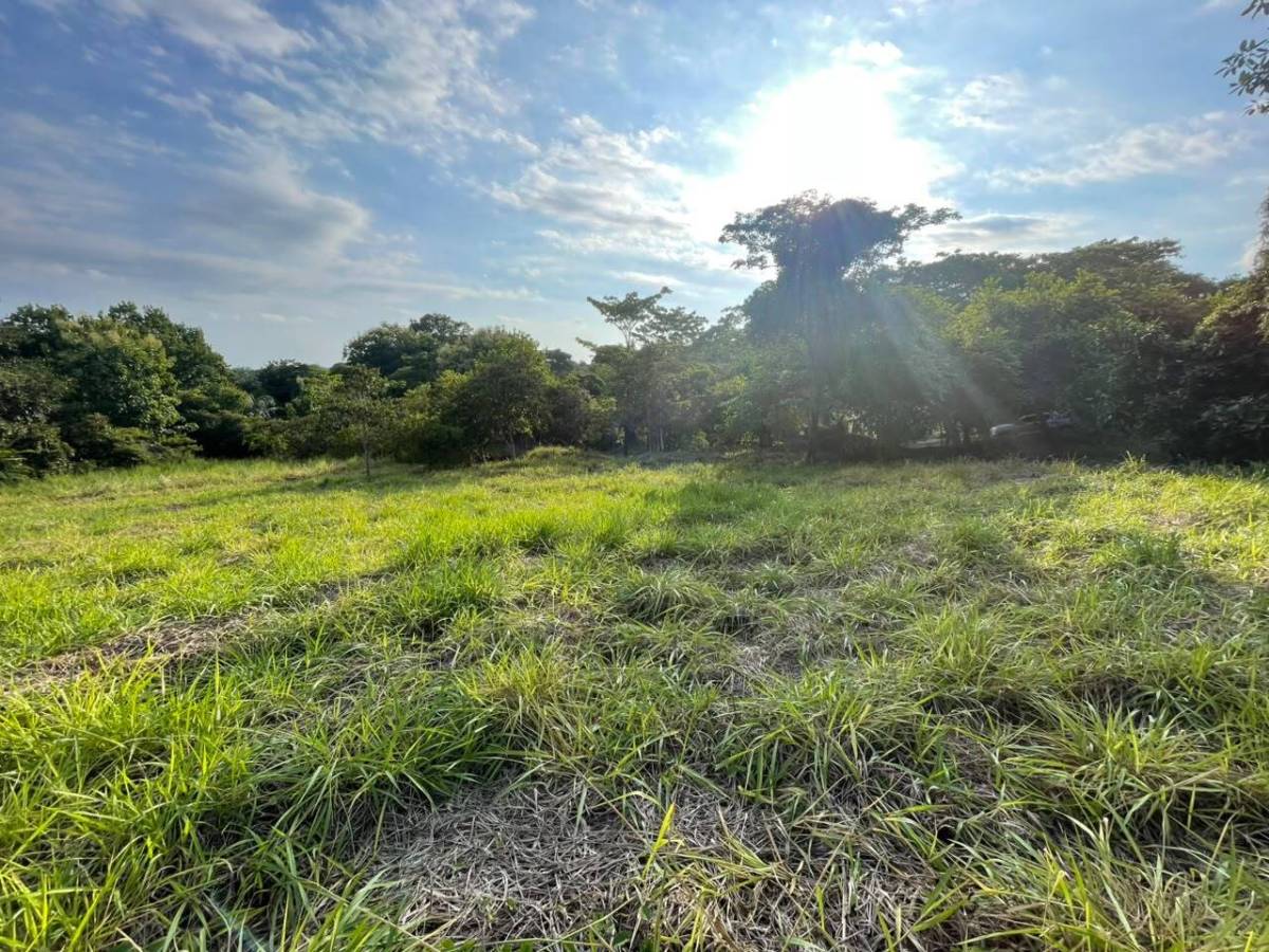 Propiedad en Parrita