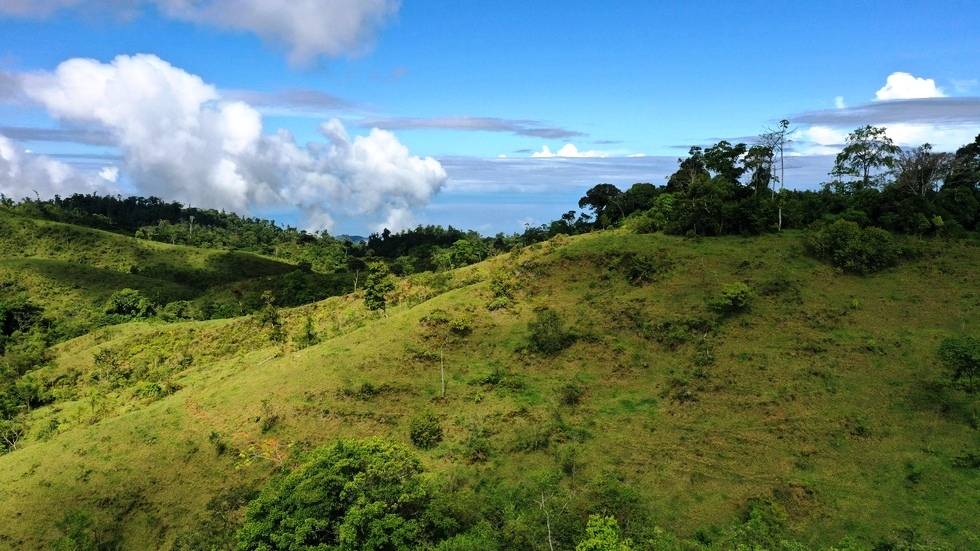 Finca en San Isidro del General