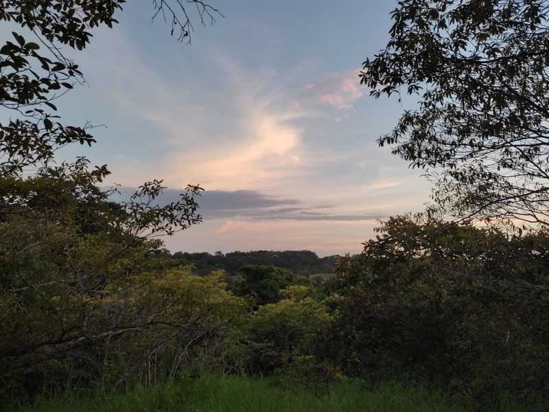 Land at San Isidro