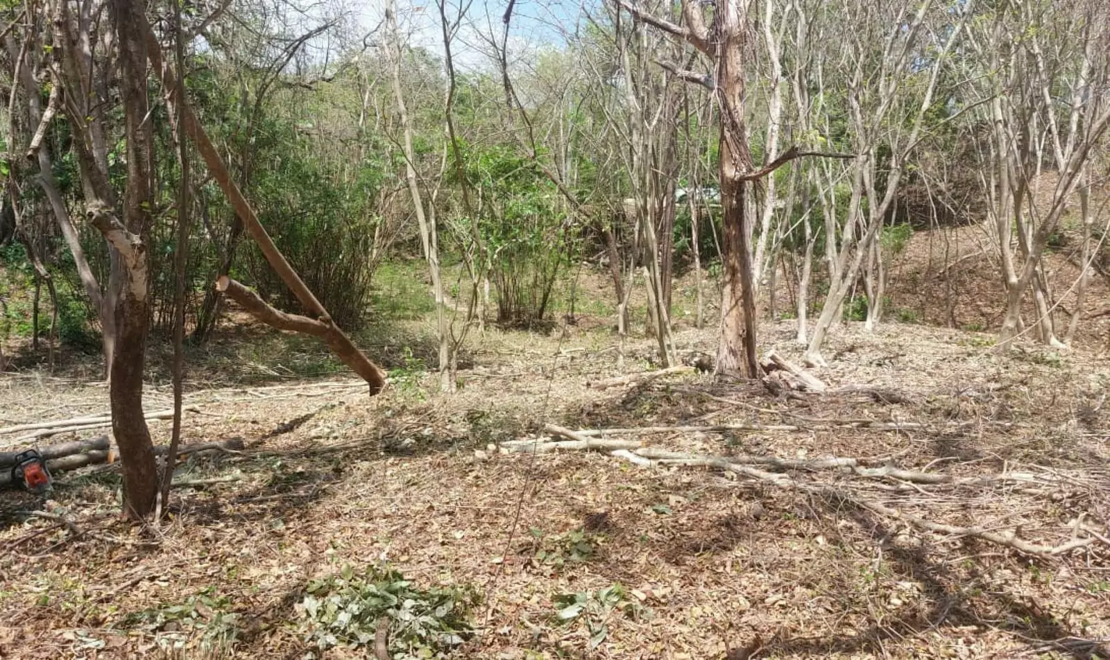 Propiedad en Nosara