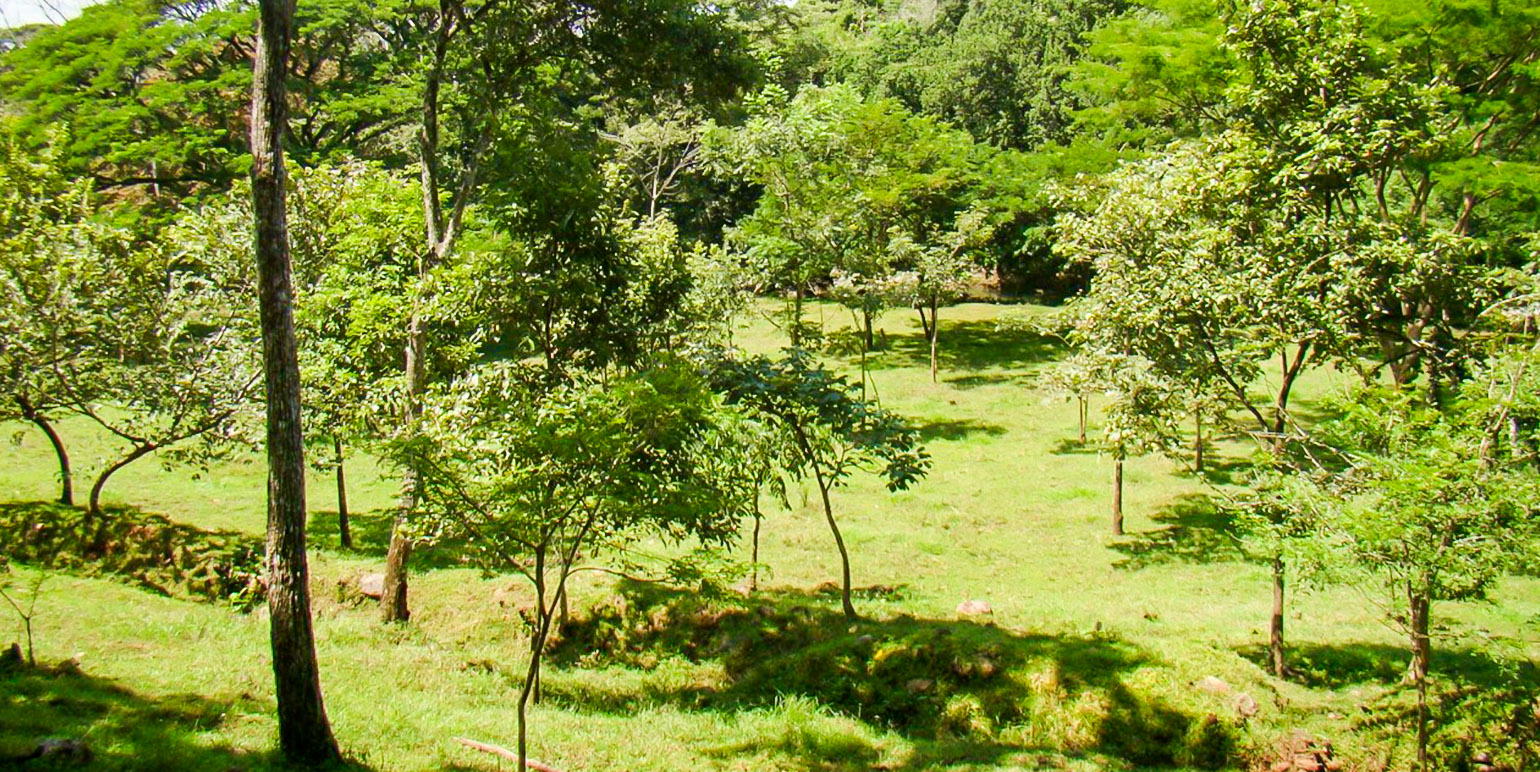 Propiedad en Alajuela