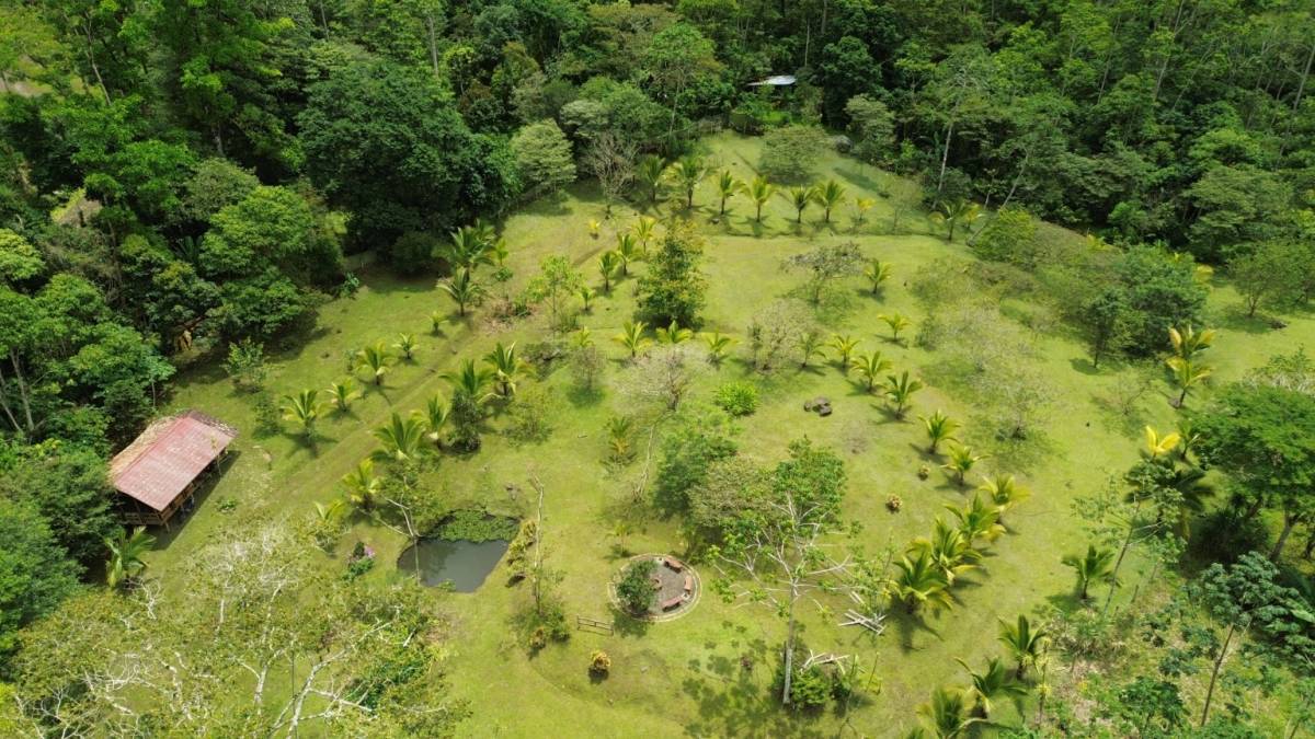 Estate at Pavones