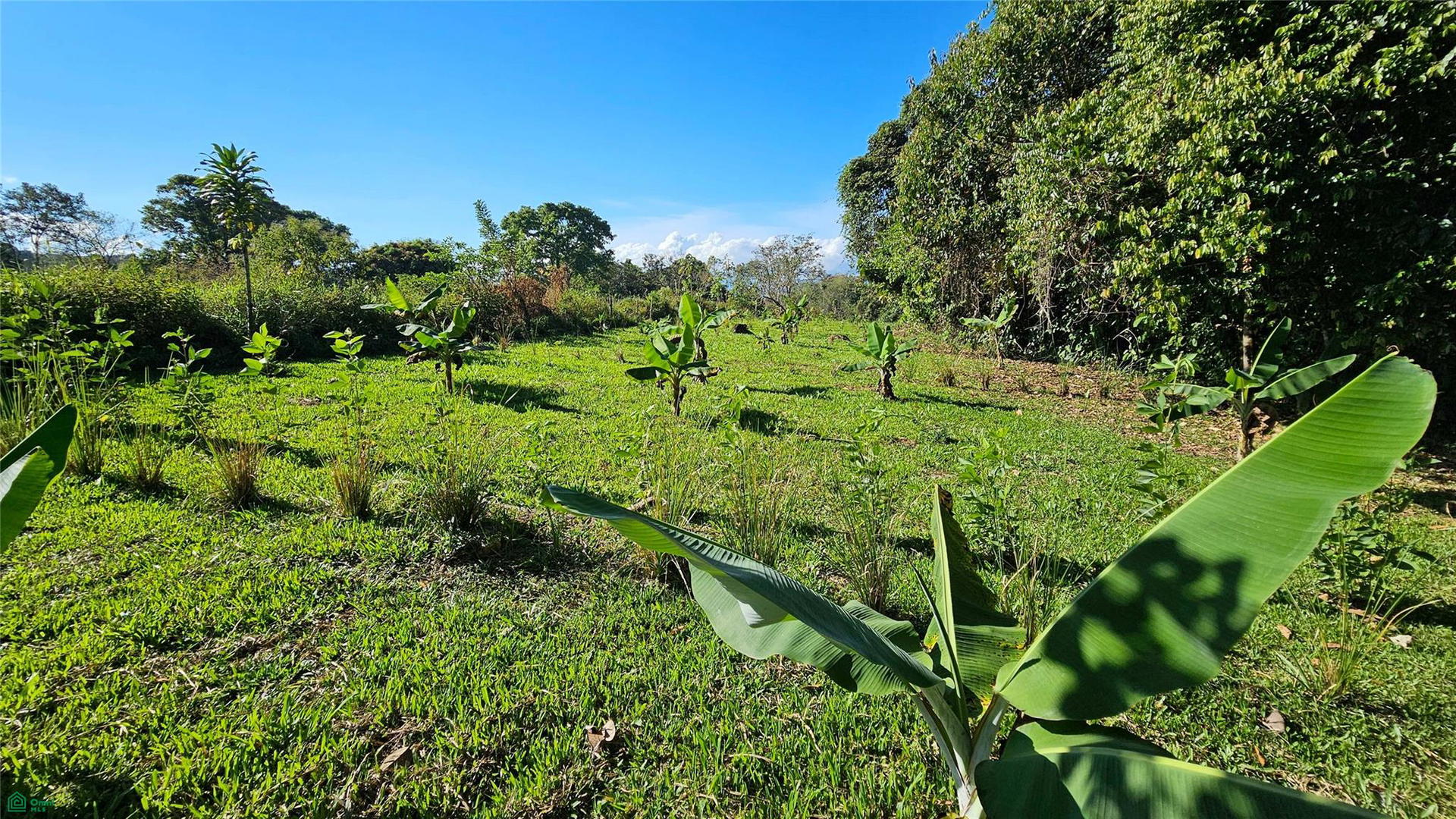 Terreno en Barú