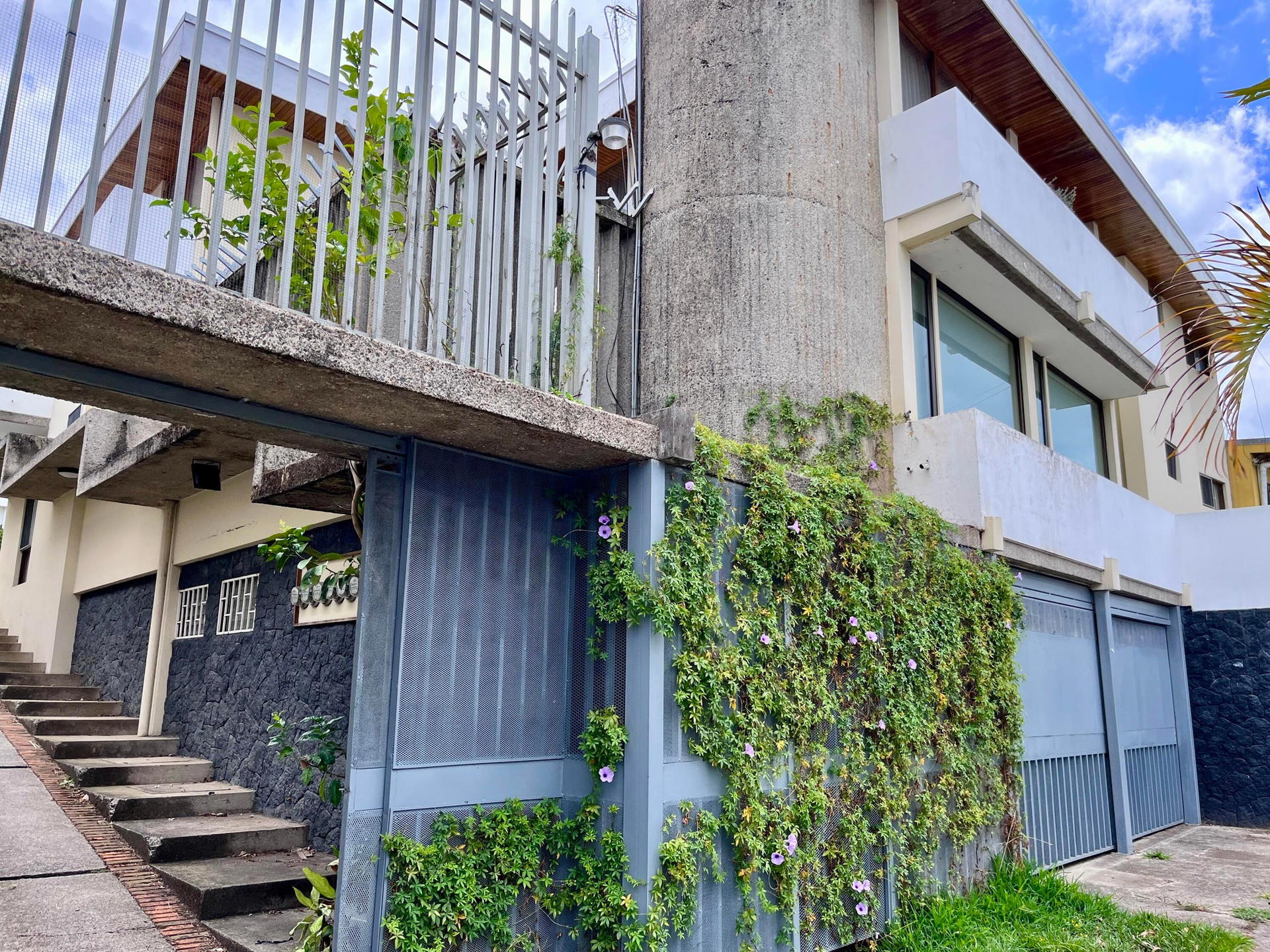 Comercial en San Pedro