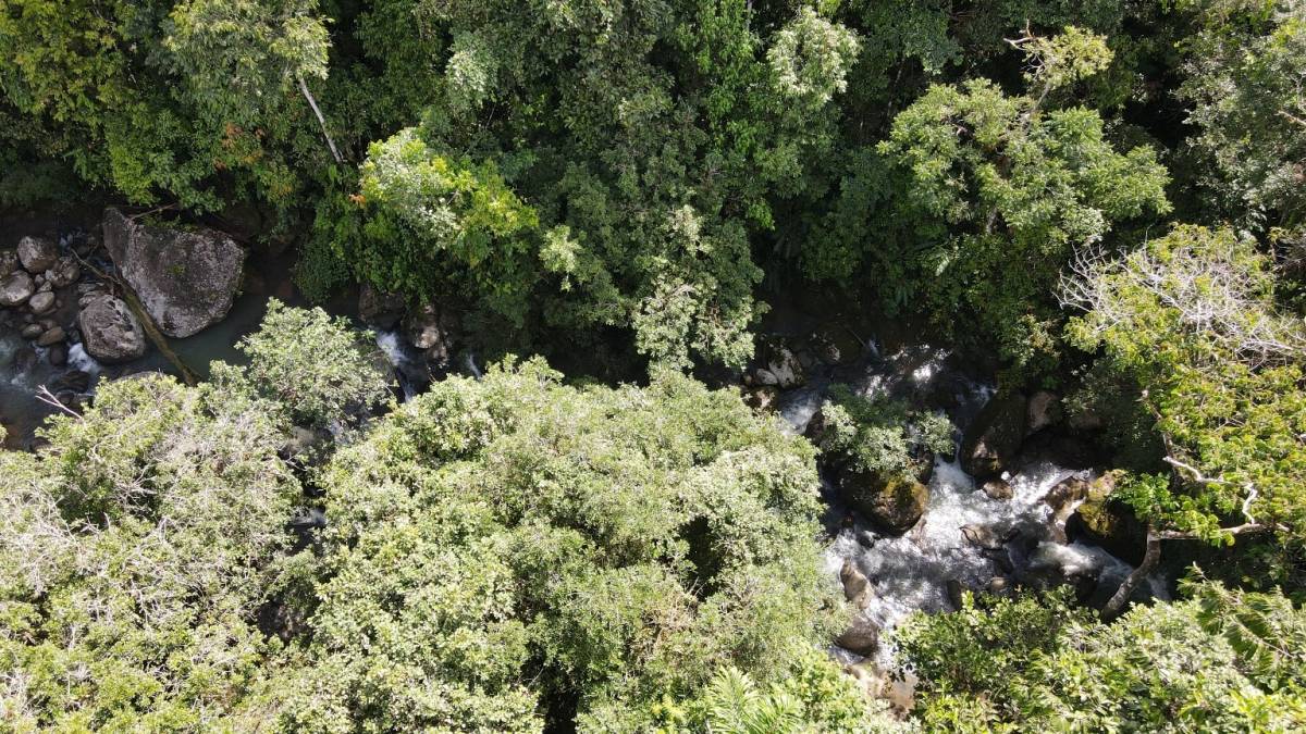 Propiedad en Pejibaye