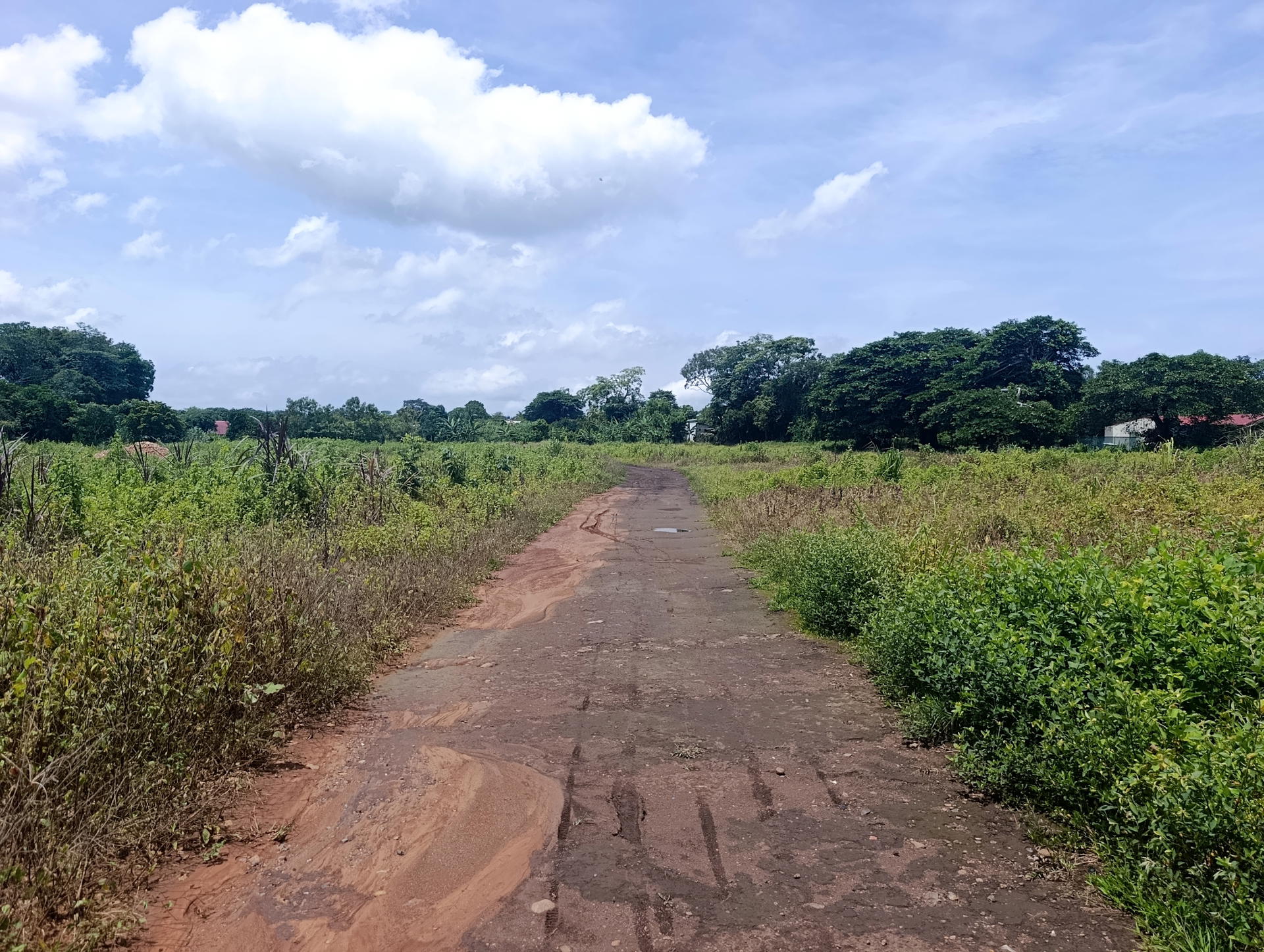 Terreno en Espíritu Santo