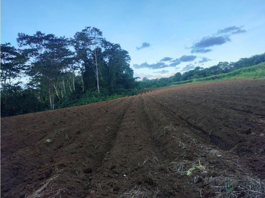 Finca en Roxana