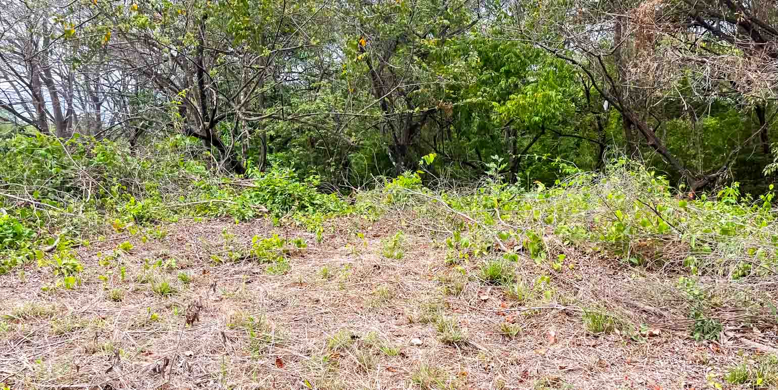 Property at Cóbano