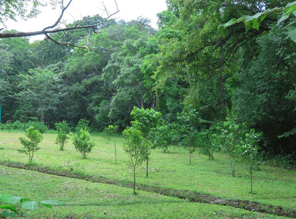 Terreno en Santa Cruz