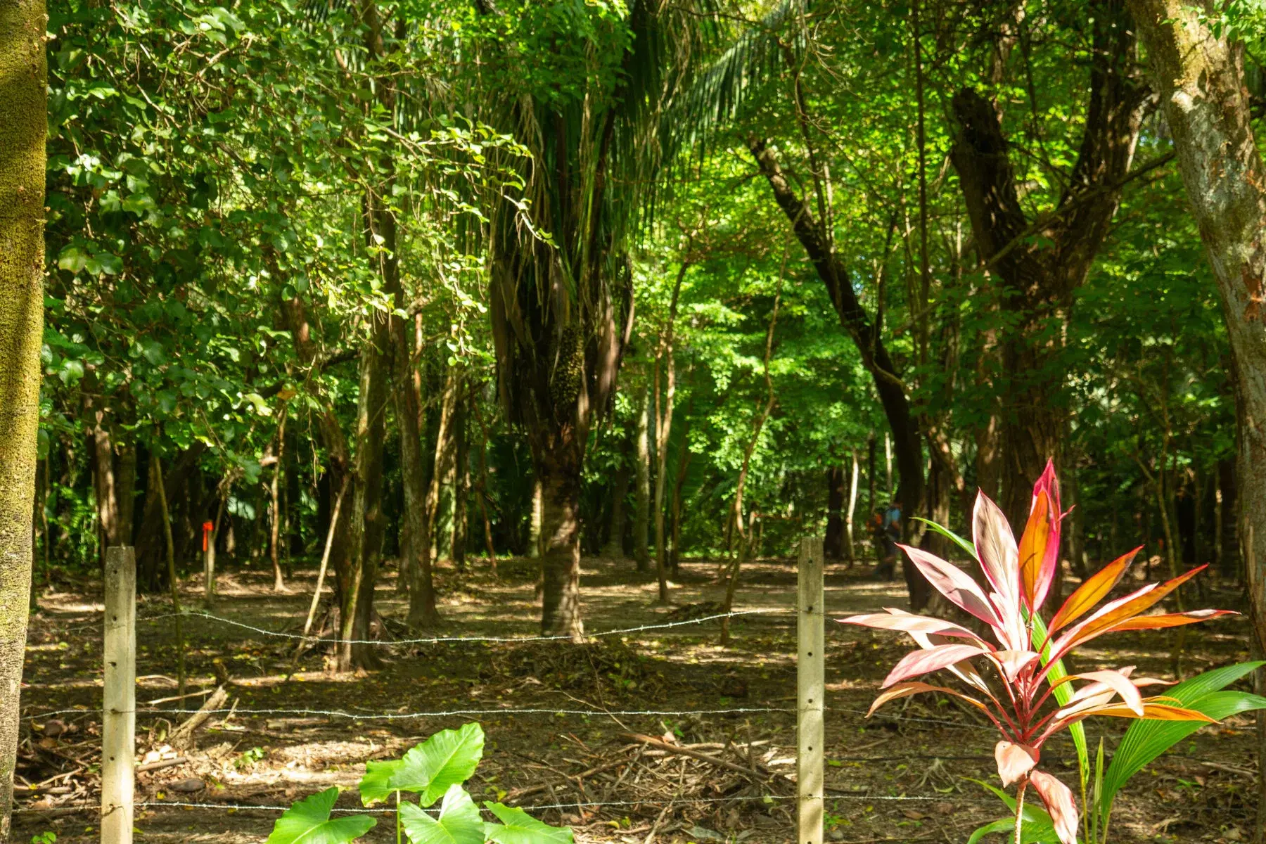Land at Veintisiete de Abril