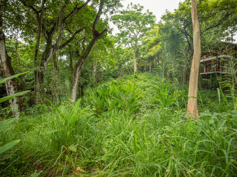 Terreno en Nosara